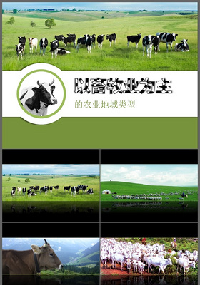 2017浅绿色背景简约以畜牧业为主的农业地域类型说课信息化教