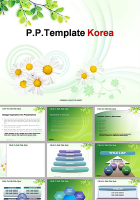 韩国淡雅树叶菊花ppt模板