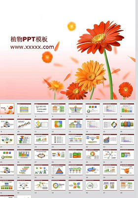 工作汇报数据分析植物背景ppt模板