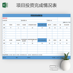 项目投资完成情况表excel模板
