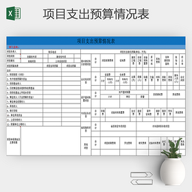 项目支出预算情况表excel
