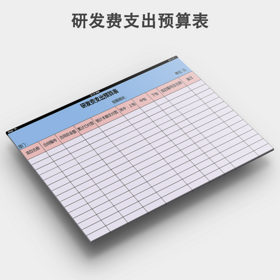 研发费支出预算表