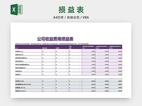 公司收益费用损益表