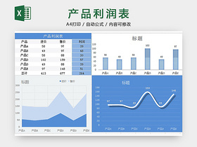 产品利润表