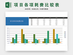 项目各项耗费比较表EXCEL模板