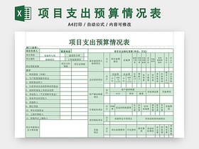 项目支出预算情况表EXCEL模板