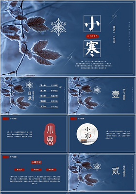 唯美简约中国传统二十四节气之小寒节气介绍PPT