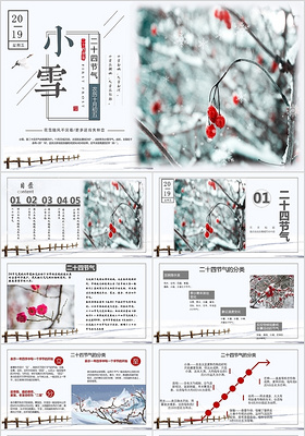 清新冬季植物二十四节气小雪节气传统节日PPT
