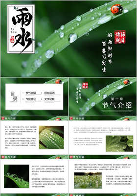 绿色系树叶元素雨水节气介绍PPT模板宣传PPT动态PPT二十四节气24节气雨水