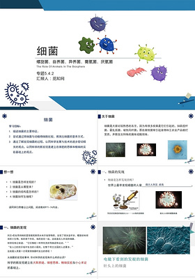 蓝色细菌教学研究PPT细菌ppt
