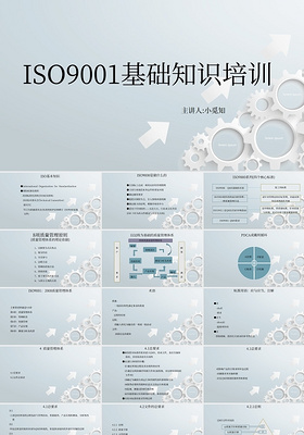 工业 ISO9001质量管理体系培训教程PPT