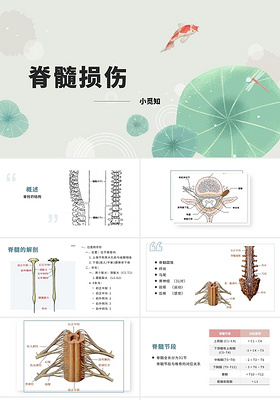 蓝色简约清晰医学脊髓损伤脊髓损伤ppt