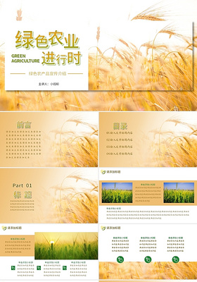 黄色简约绿色农业粮食生产宣传介绍说明会PPT模板