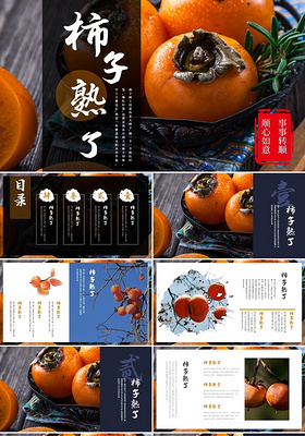 橘色简约中国风柿子熟了蔬菜产品介绍PPT模板