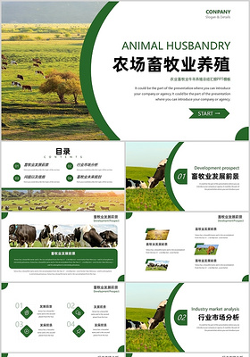 绿色简约风农村畜牧业养殖市场分析PPT模板农业畜牧业